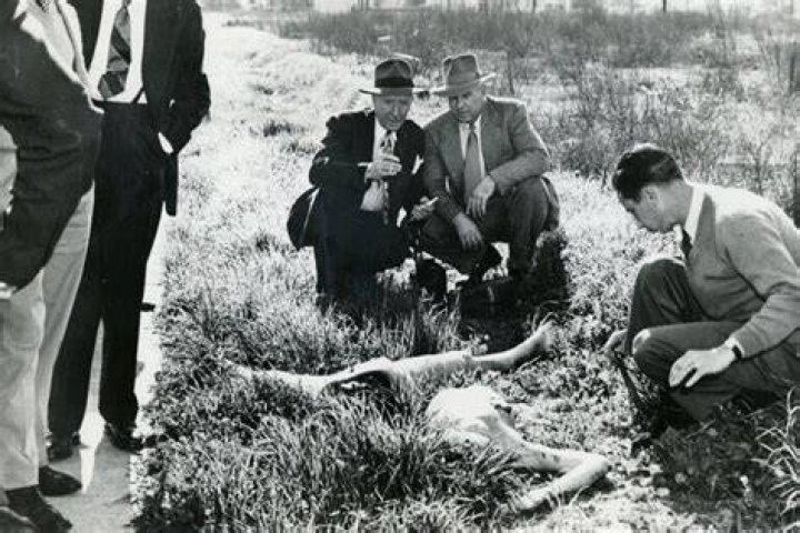 Unveiling the Black Dahlia Crime Scene: A Comprehensive Analysis