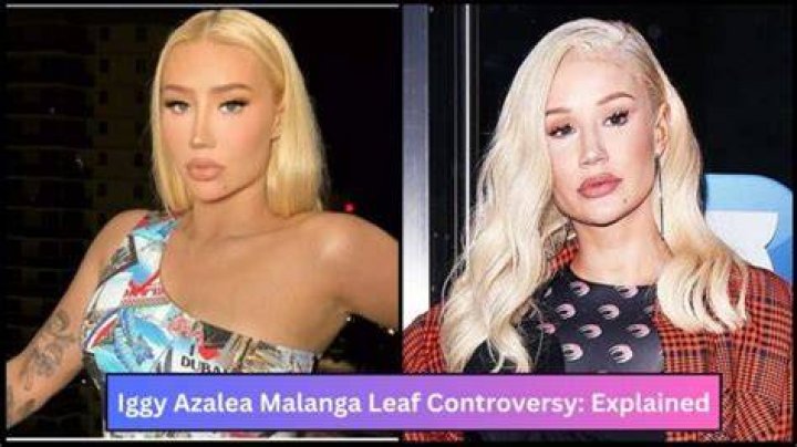Unveiling the Controversy: Iggy Azalea Leaks and Their Impact