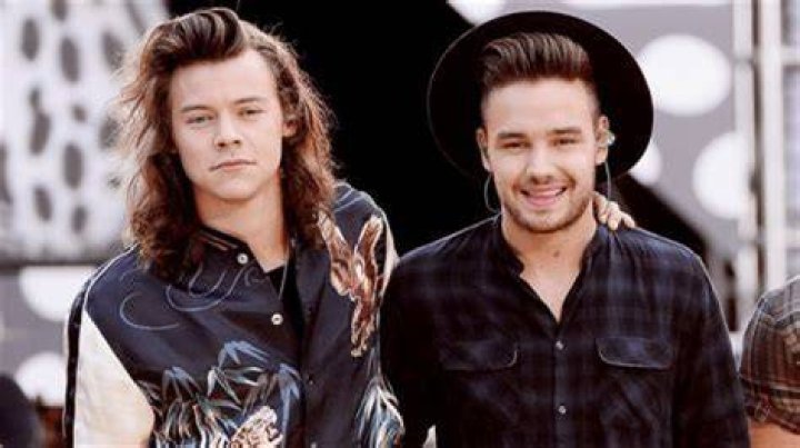 Unveiling the Intriguing Dynamic of Harry Styles and Liam Payne's Relationship