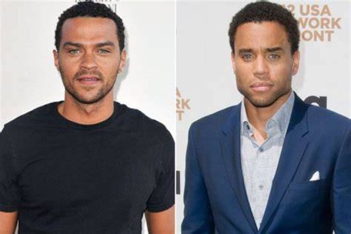 Unveiling the Lives of Michael Ealy's Siblings