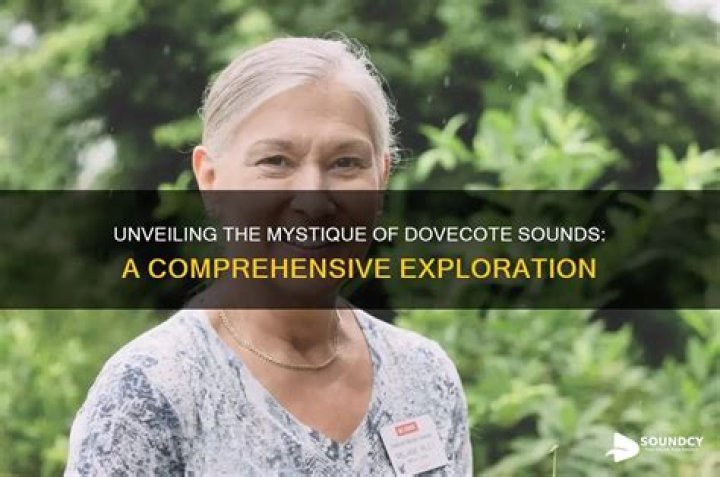 Unveiling the Mystique of Sotwe: A Comprehensive Exploration