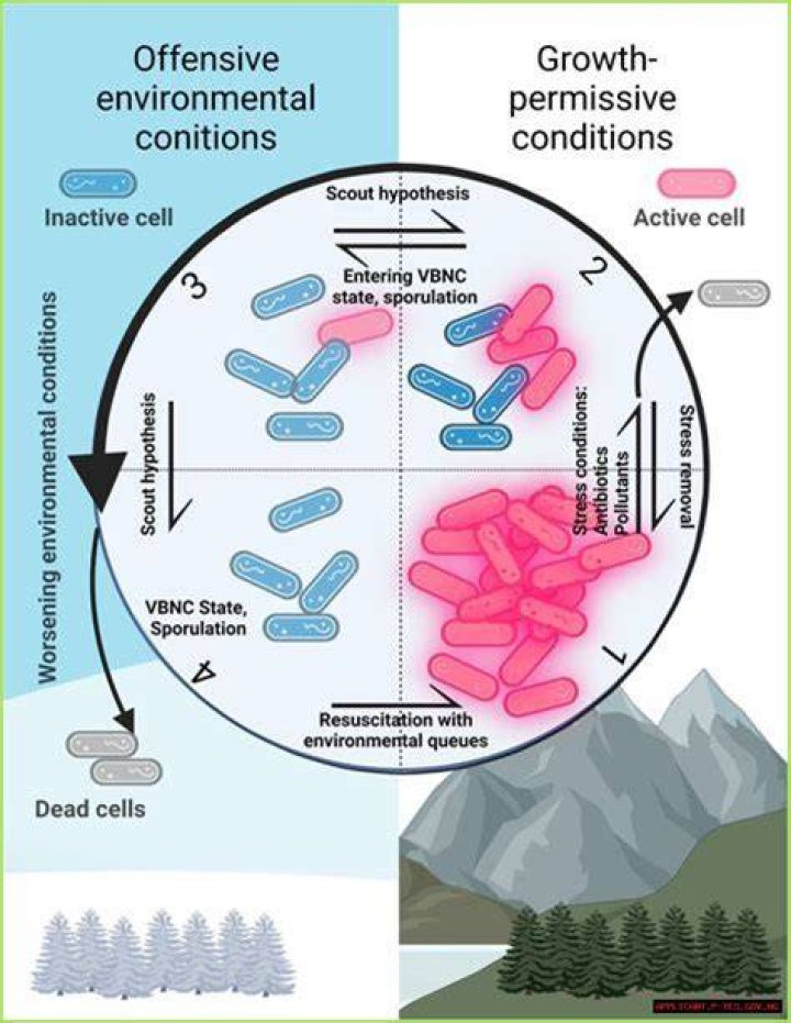 Unveiling the Phenomenon of MMSViral: A Deep Dive into Its Impact and Reach
