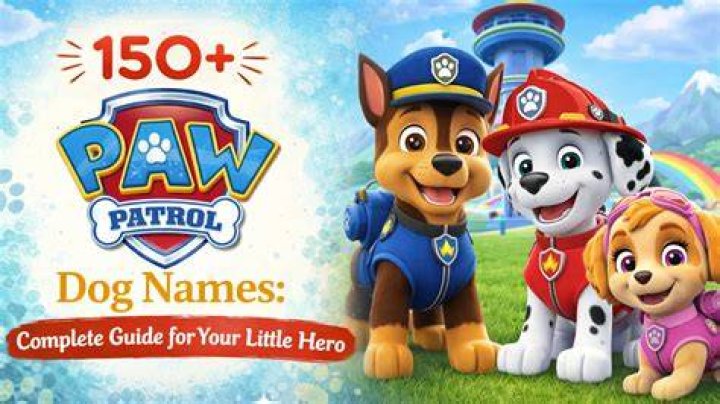 What is the Dog's Name on Paw Patrol: A Comprehensive Guide