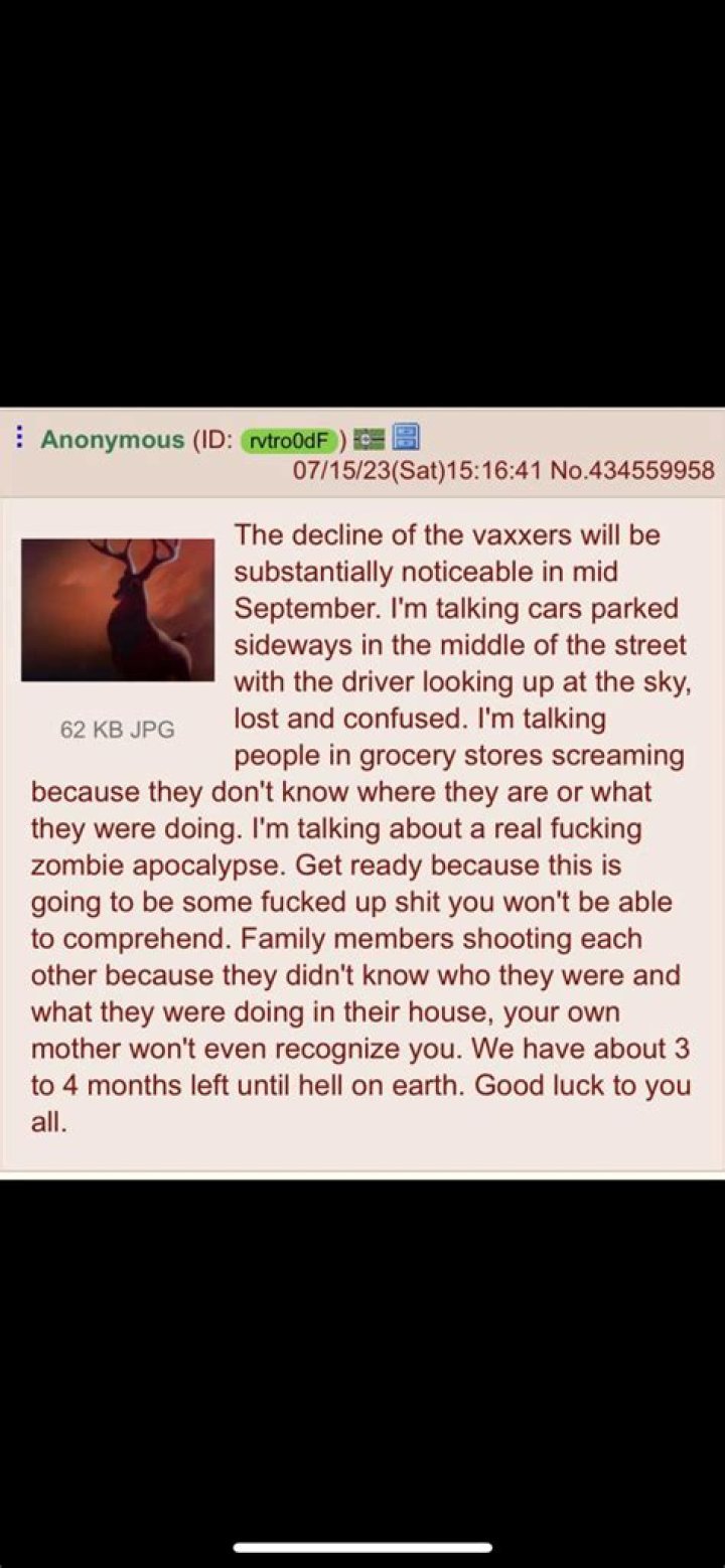 Your Vaccine: The Only Hope Against the Zombie Apocalypse